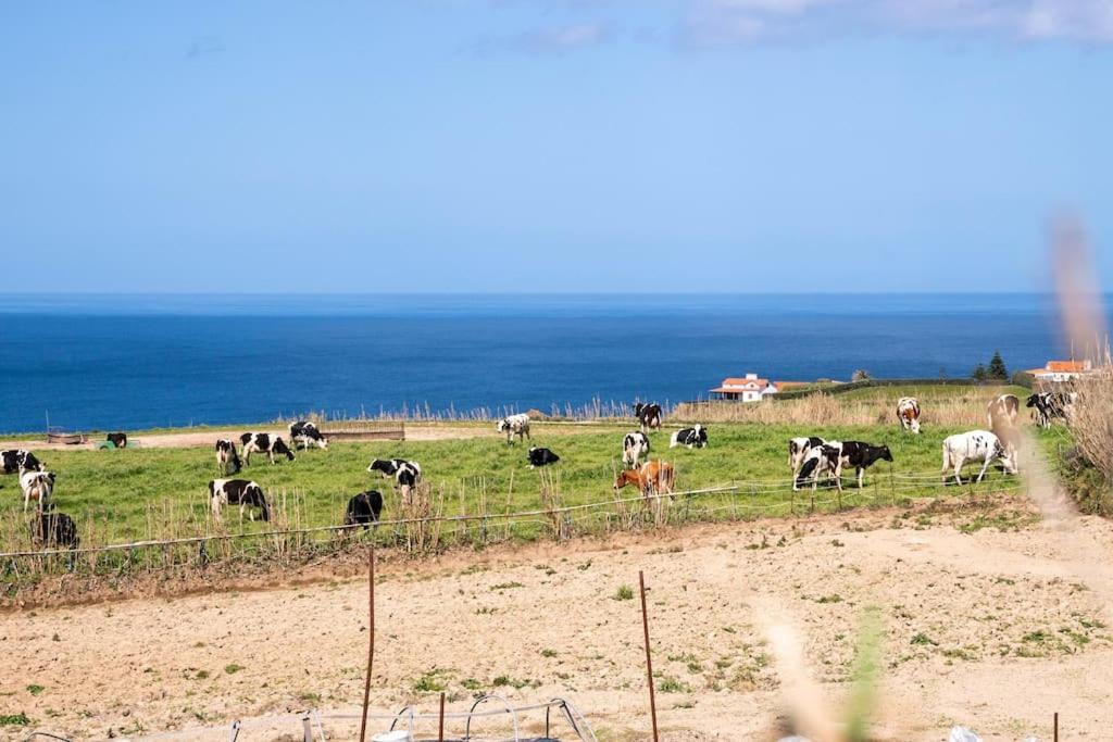 Country House In Azores - S. Miguel Ribeira Grande Εξωτερικό φωτογραφία