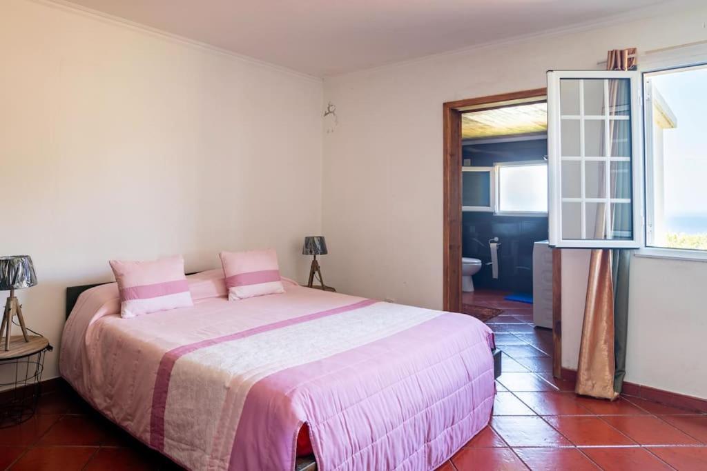 Country House In Azores - S. Miguel Ribeira Grande Εξωτερικό φωτογραφία